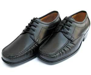 how to remove mold/mildew from leather shoes LJKAIQA