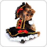 dog clothes dog sports apparel · costumes KHZIMSS